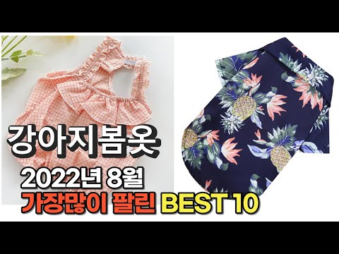 광고 2022년 8월 강아지봄옷 판매 추천순위 TOP10 가성비 평점 후기 비교