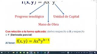 FUNCIÓN COBB DOUGLAS Explicación e interpretación