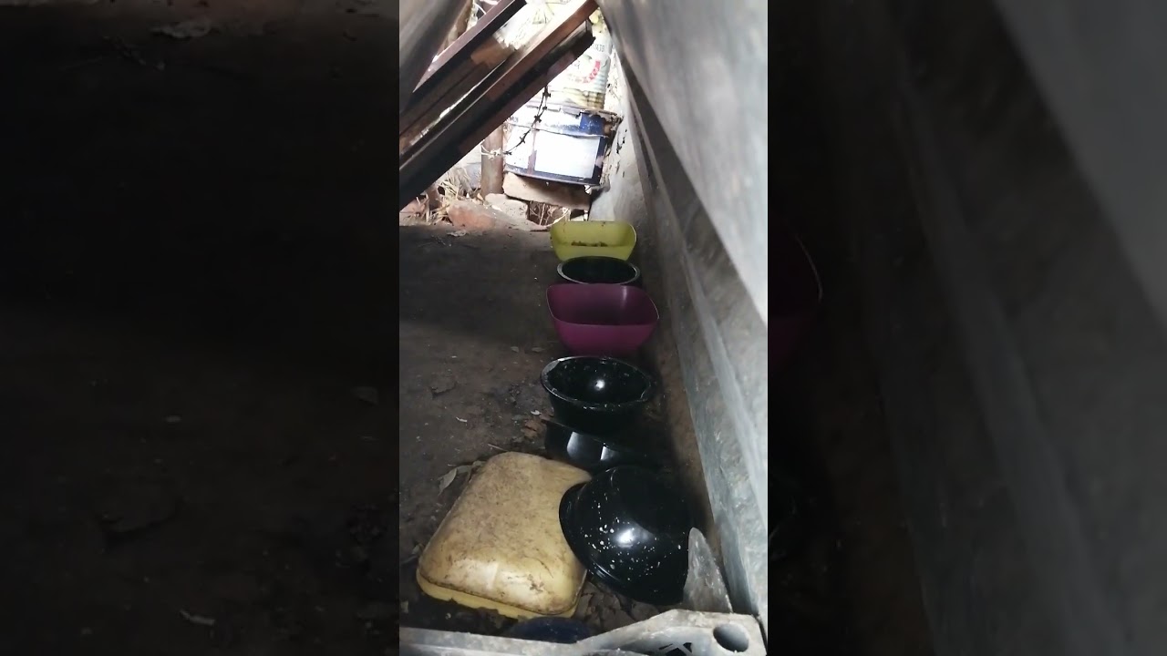 +901р. Дмитрий Александрович П. СПАСИБО!!! на Сбербанк 2202203654418625 Елена К. 11 февраля 2026г.