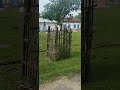 amader choto belar school #video #highlight