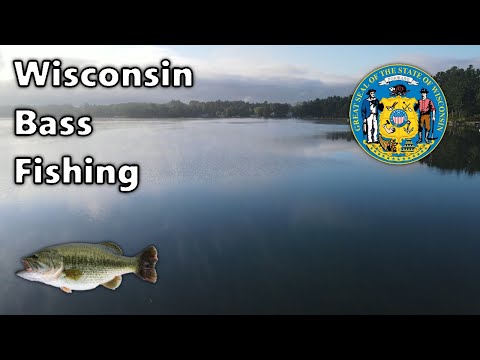 Late Summer Bass Fishing in Wisconsin - Fish Snaps 200$ Rod!