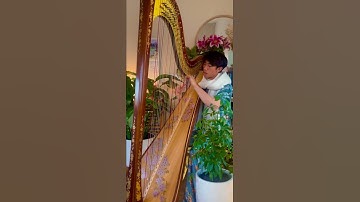 Ravel Introduction and Allegro Theme