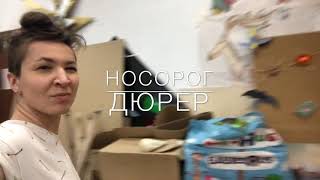Носорог Дюрер. Копия и коллаж. Носорог Дюрер. Копия и коллаж.