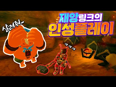 야숨 인성플레이 모음 part5 (젤다의 전설 야생의 숨결)