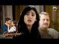 Background Raaz Kya Hai? Miral Ko Hua Shak 😳 || Shaidai || Har Pal Geo