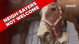 Brown County rescue in urgent need of volunteers donations to help critically ill horses