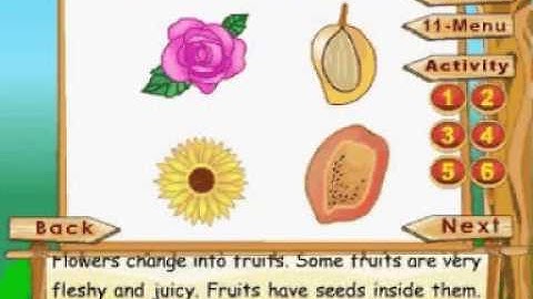Learn Science - Class 3 - Plant Life - Flowers, Fruits And Seeds