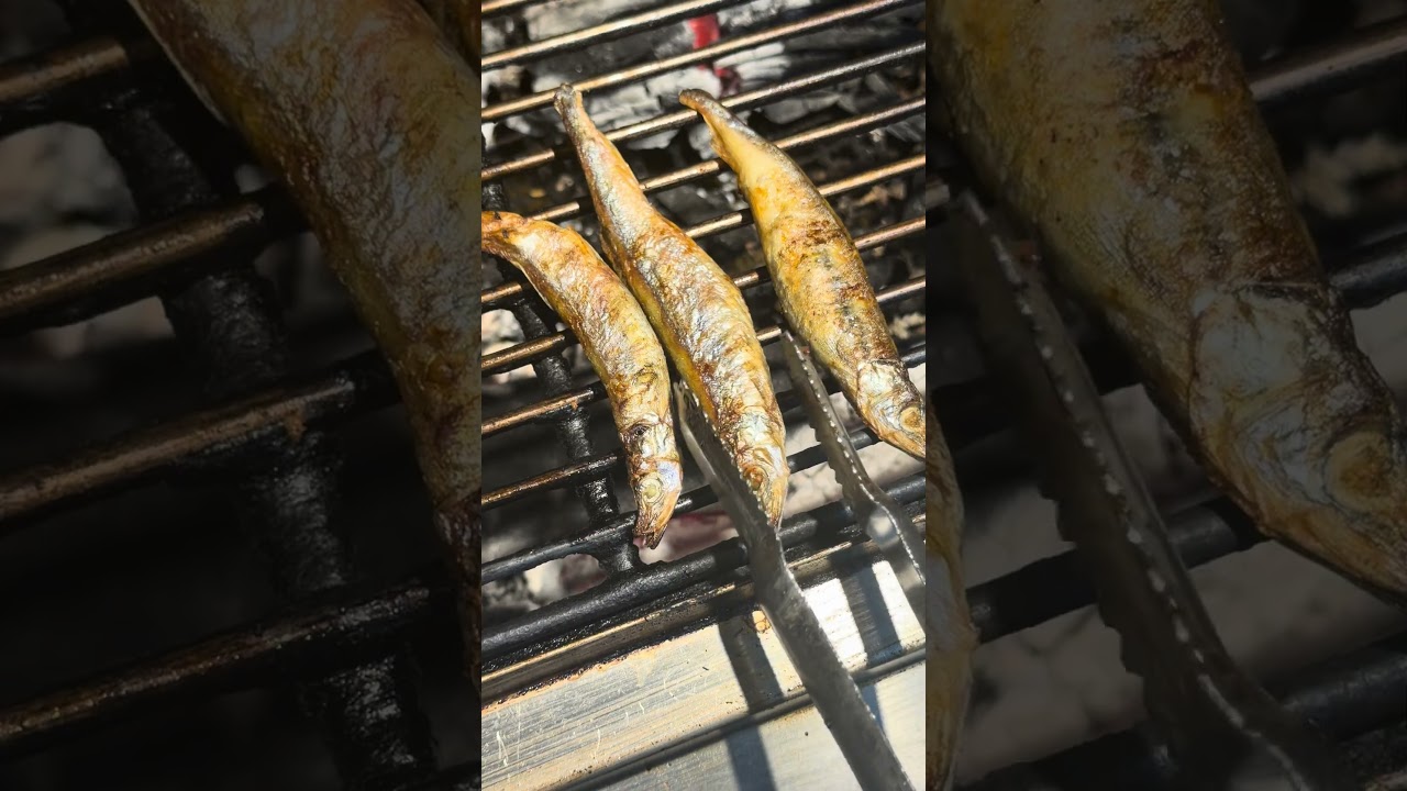 柳葉魚 #food - YouTube