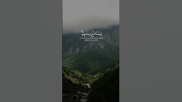 عبدالرحمن مسعد - سورة الفتح | هو الذي انزل السكينة #قران #اكسبلور #تلاوة_خاشعة #عبدالرحمن_مسعد