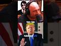 Rogan on Trump's Clash with CNN Reporter