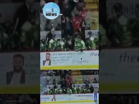 تحطم زجاج الأمان وسقوطه على المدرب خلال مباراة الهوكي في دوري أونتاريو للهوكي 