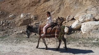 Donkey Riding In Deadly Mountains The Perilous Journey Of A Nomadic Girl To The Heart Of Nature