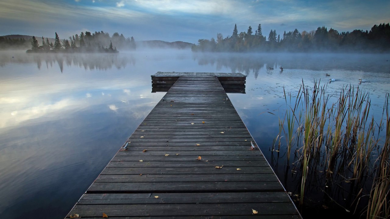 LAKE HAVEN • 1H Calm Music • Natural Sounds • Hang •  Drum Handpan