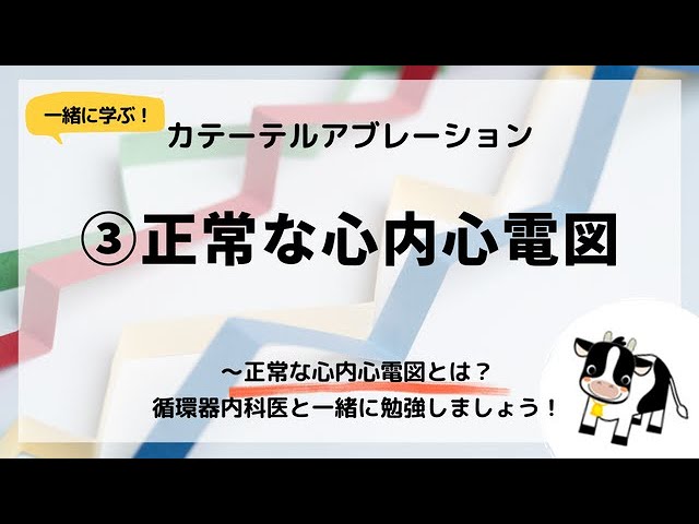 ① Ablation ~ Misunderstandings about electrophysiological testing