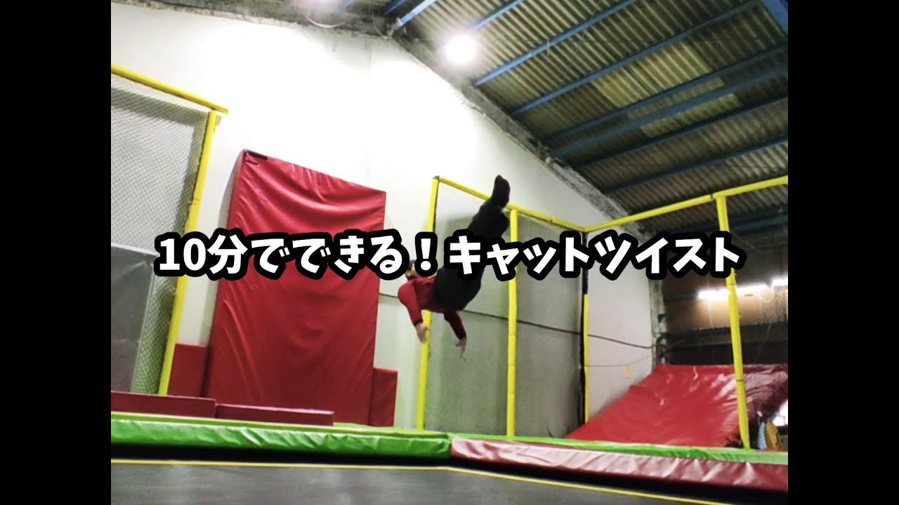 10分でできるキャットツイスト