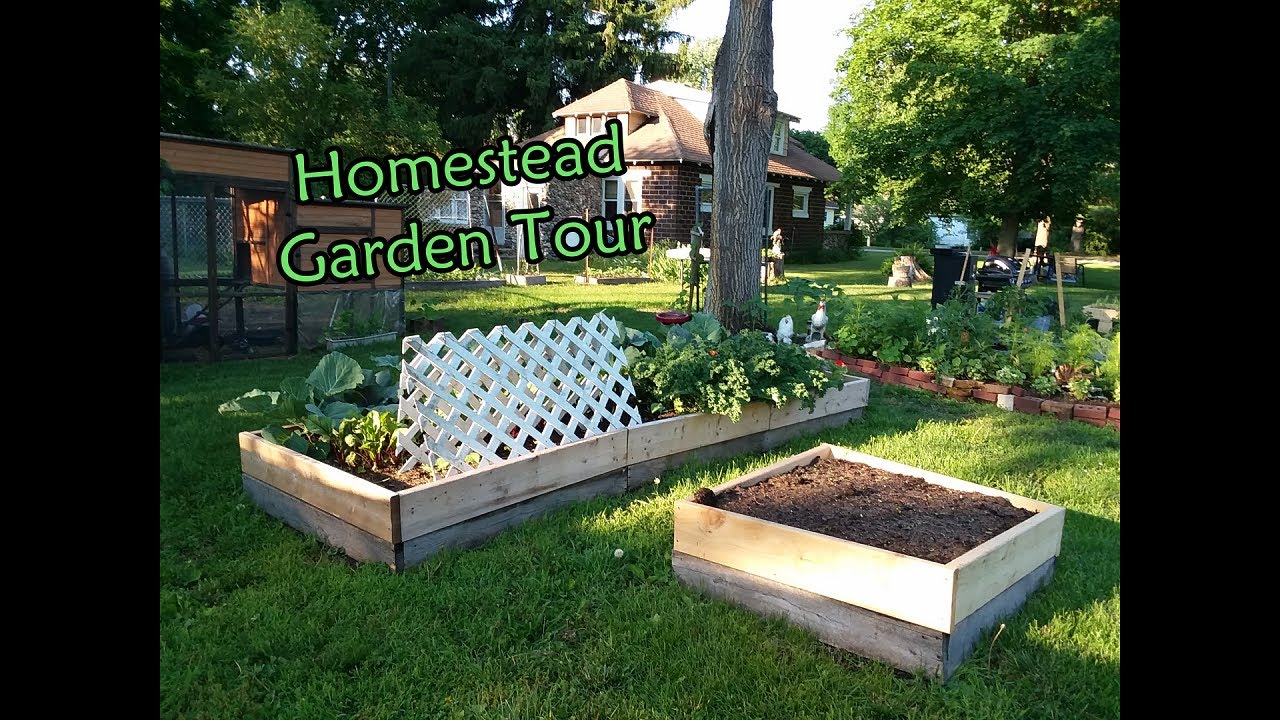 Homestead Garden Tour Week 3 YouTube