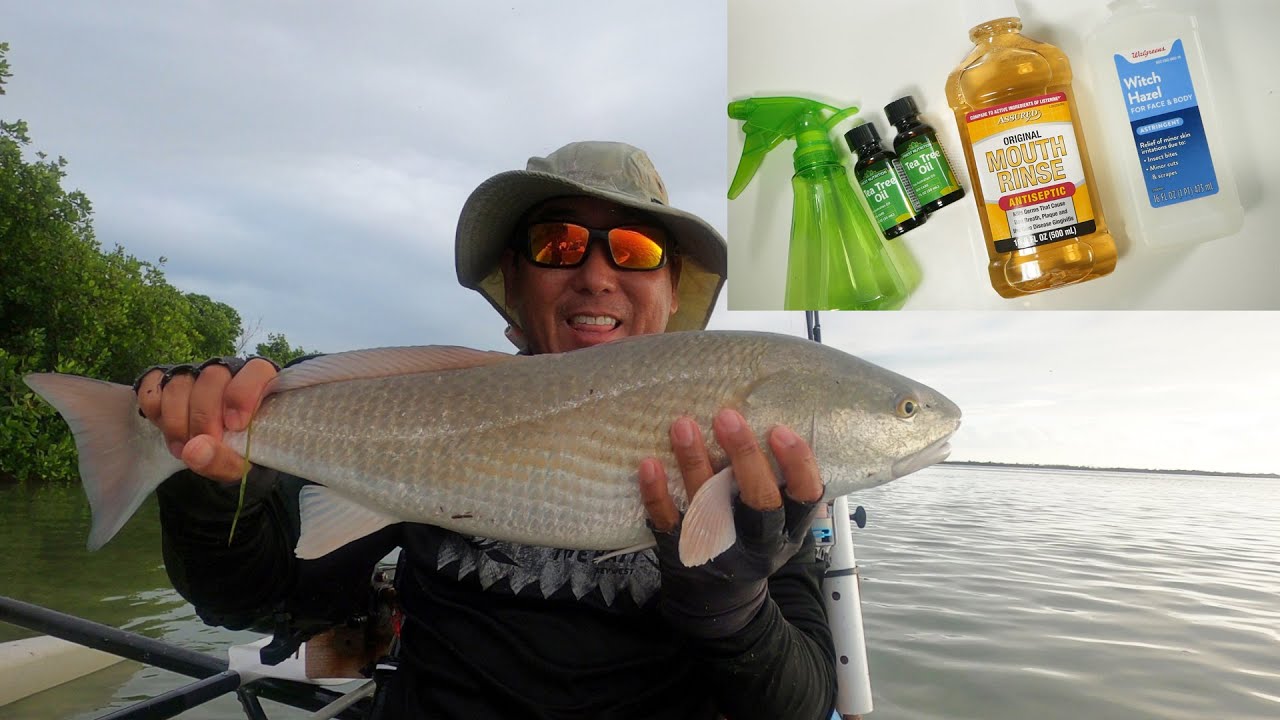 Does Hippie Juice Repel NoSeeUms? YouTube