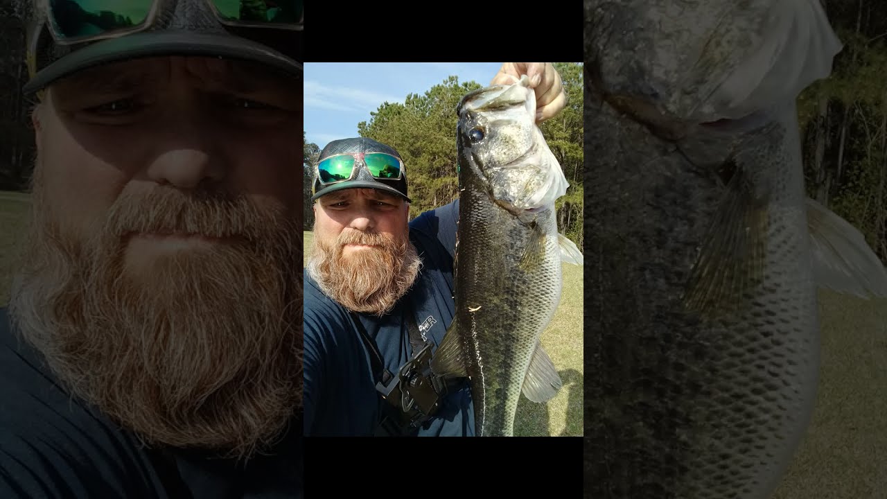 Caught a Big Bass  on livestream