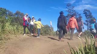 Sheila On 7 Pria Kesepian  Karaoke  No Vocal Remove By Ai