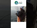 何度でもジグを追ってくる!高活性のジギング便! #short