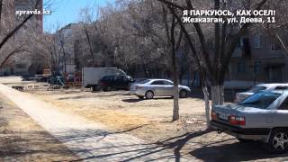 паркуюсь, как осел