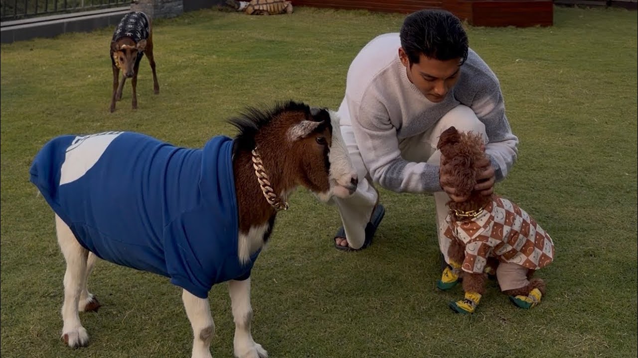 ညဘက်တွေ ရာသီဥတု အေးလာတော့ က​လေး​တွေကို  အဝတ်လေးတွေ ဝတ်ထားပေးတာ 🖤