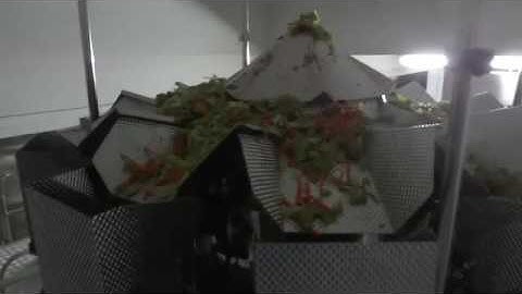 VP52B with Salad combination weigher