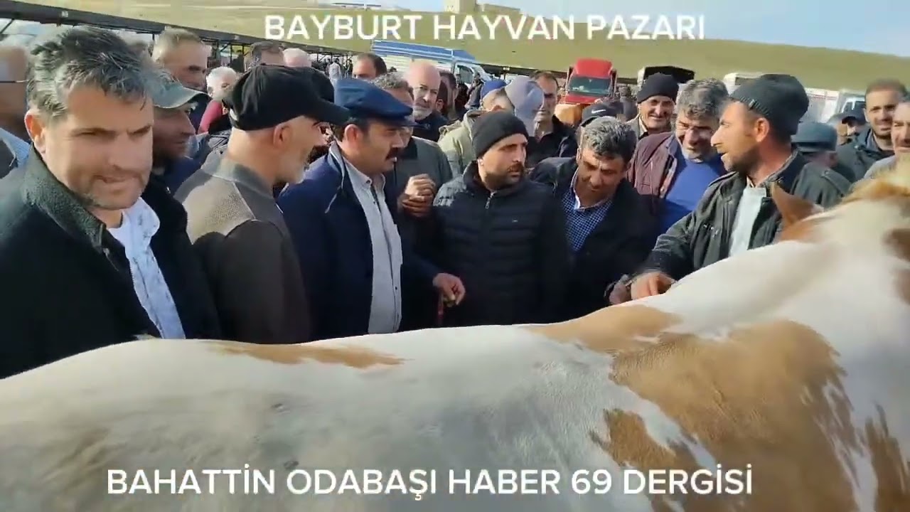 HAYVAN FİYATI ÜZERİNDEN DÜŞÜNECEK OLURSAK KAÇ YIL ÖNCEKİ PİYASADIR.YİL OLARAK BİR TAHMİN ALALIM. 