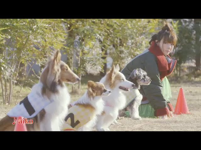 Aiko 犬とかけっこするcm映像と 月が溶ける Mvを公開 Spice エンタメ特化型情報メディア スパイス