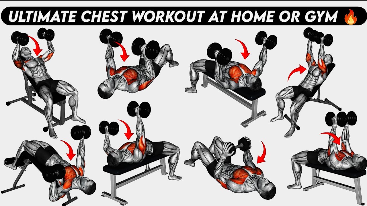 8 BEST DUMBBELL CHEST EXERCISES | ULTIMATE CHEST WORKOUT AT HOME OR GYM ...