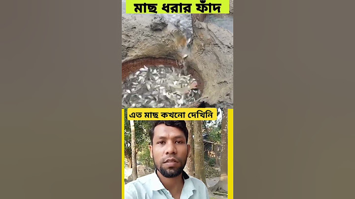 রিতুর বান্ধবীরা চলে আসছে 🦜Malaysia Parrot 😍 #short #shorts