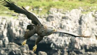 Download Lagu Surviving Scotland’s Fiercest Frontier (4K Documentary) MP3