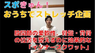 【スポきゅん！おうちでストレッチ企画】股関節の柔軟性、骨盤・背骨の位置を整えるのに効果的な「インナースクワット」