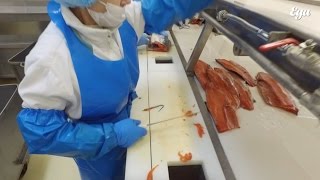 Нерка, кета, кижуч и чавыча— как солят и коптят в Москве Нерка, кета, кижуч и чавыча— как солят и коптят в Москве