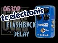 TC ELECTRONIC Flashback Delay & Looper TonePrint (Обзор педали от GAIN OVER)