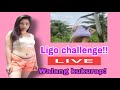 Ligo challenge  most requested  tara kape