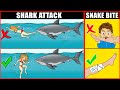 Scientific Tips on How to Survive Wild Animal Attacks