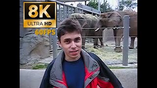 Me At The Zoo (8K 60Fps) Remaster Var.2