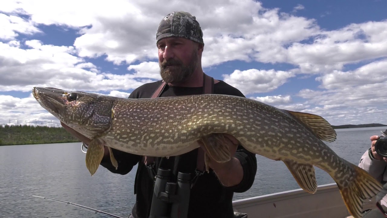 About Cree River Lodge North Saskatchewan Fly-In Lodge