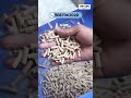 💥 இந்த மெஷின் use பண்ணா லாபம் guaranteed! - Pellet Making machine #shorts #reels #cattlecare