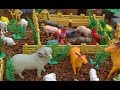 حيوانات المزرعة  - لعبة - عالم الحيوان