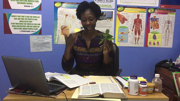 Dr  Debra Williams   Health Benefits of the Leaf o...