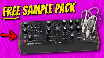 Moog Labyrinth - Preset Demo (+ FREE Sample Pack!)