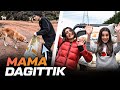 KÖPEKLERLE ORMANDA YANLIZ KALDIM!!! YARIM TON MAMA DAĞITTIK!!