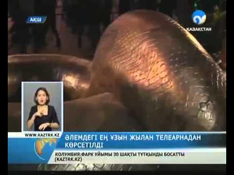 Голливуд порно жұлдыздарының фильмі Қыздар өздерінің таңдаулы порно видеоларын жинайды