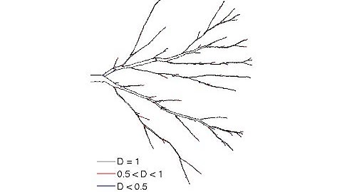 Probabilistic crack propagation SDG FEM (deformed geometry)