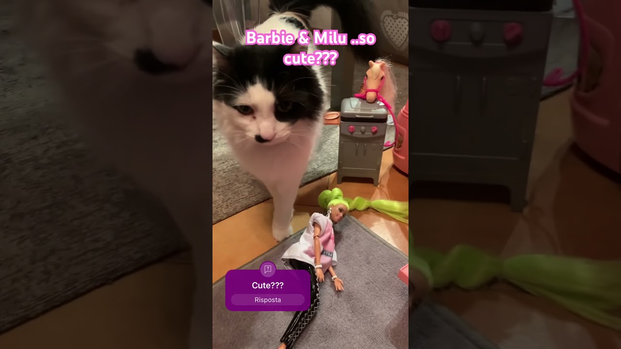 Milu ama le barbie!! 