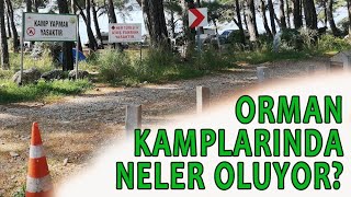 ORMAN KAMPLARINDA NELER OLUYOR?