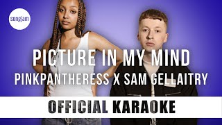 PinkPantheress x Sam Gellaitry - Picture in my mind (Official Karaoke Instrumental) | SongJam