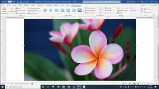 MS Word | Drop Cap & Page Column